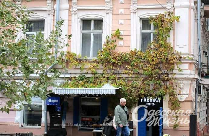 осень. Котова