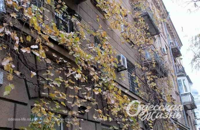 осень. Котова