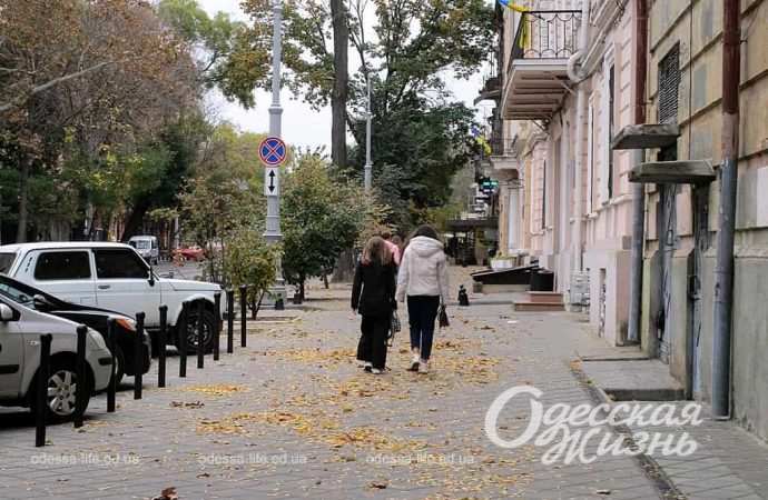 осень. Котова