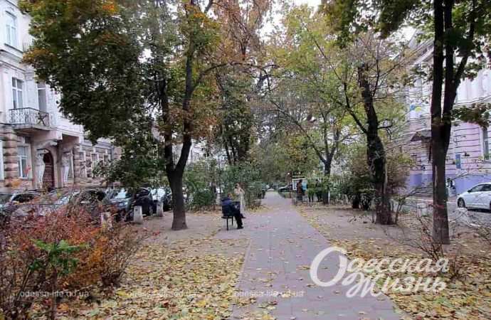 осень. Котова