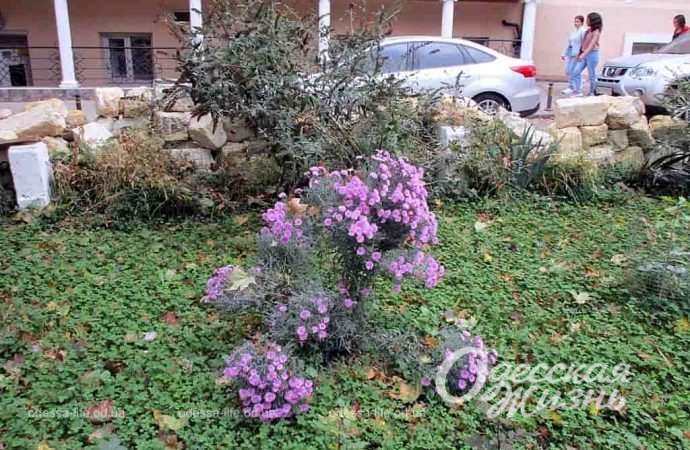 осень. Котова