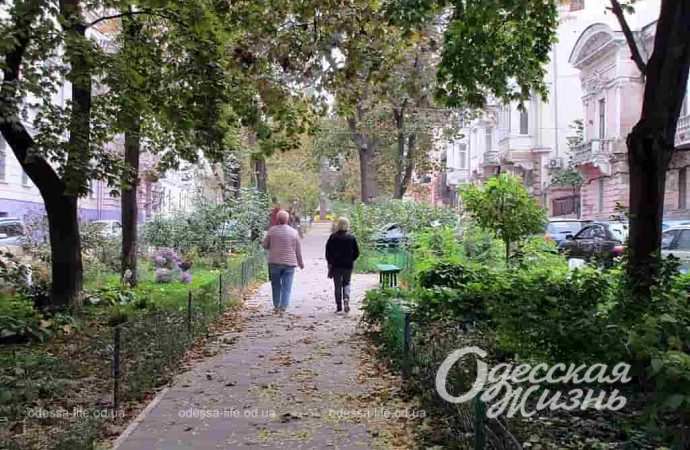 осень. Котова