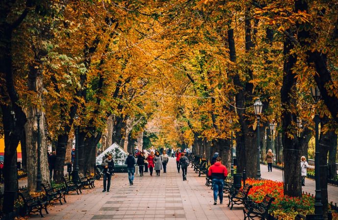 Осень в Одессе: куда сходить и на что посмотреть кроме моря*
