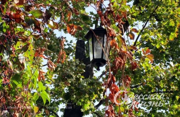 Одесса в октябре, фонарь