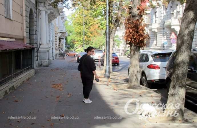 Октябрь в центре Одессы