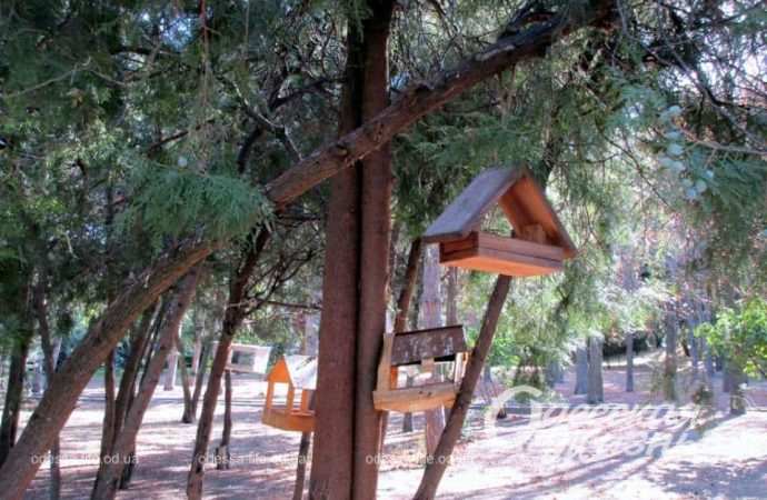 Парк Шевченко. Котова