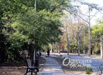 Прогулянка Одесою: як виглядає парк Шевченко восени (фоторепортаж)
