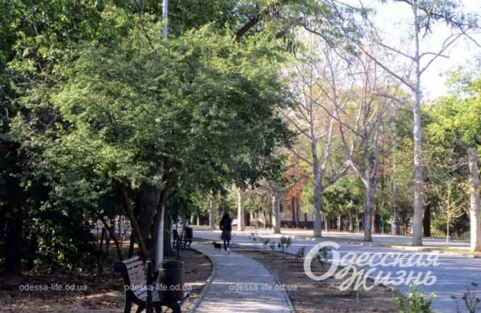 Прогулянка Одесою: як виглядає парк Шевченко восени (фоторепортаж)