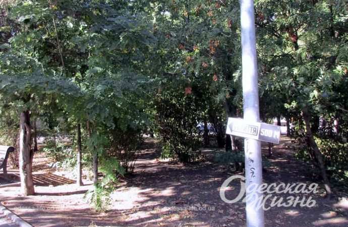 Парк Шевченко. Котова