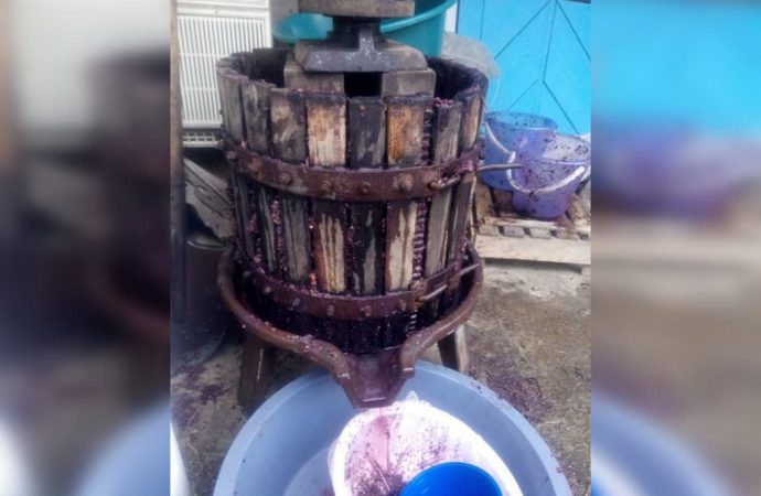 Прес (стяска) для винограду