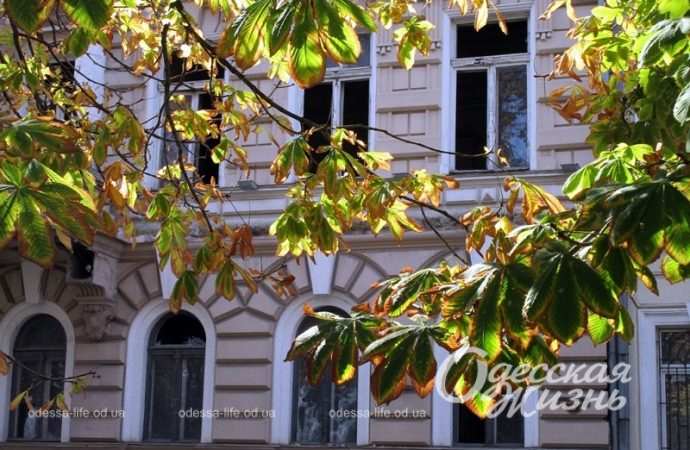 Приморский бульвар, 7 октября 2023-10