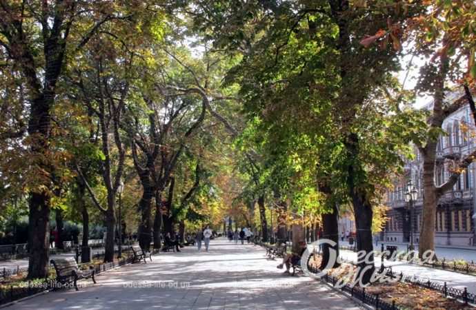 Приморский бульвар, 7 октября 2023-13