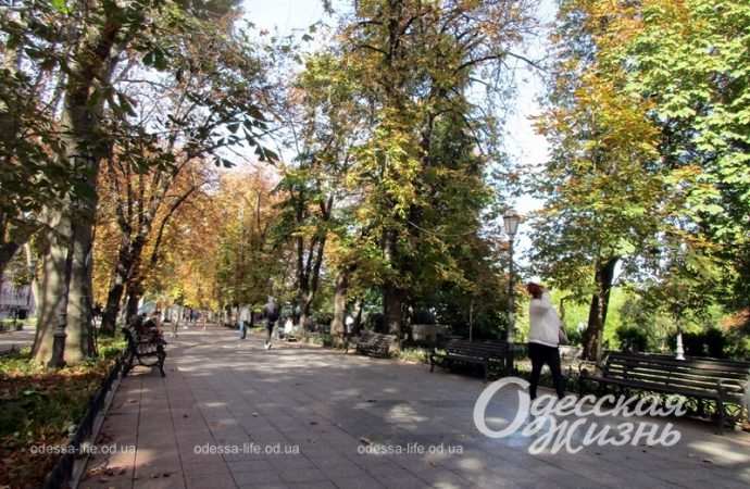 Приморский бульвар, 7 октября 2023-18