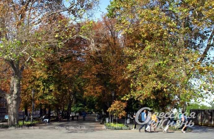 Приморский бульвар, 7 октября 2023-3