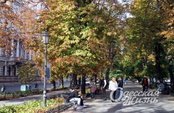 Приморский бульвар, 7 октября 2023-4