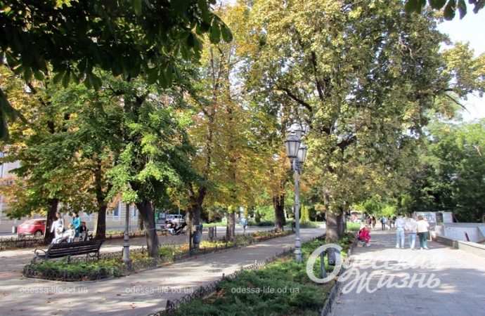 Приморский бульвар, 7 октября 2023-7