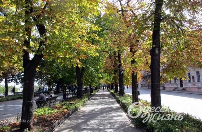 Приморский бульвар, 7 октября 2023-9