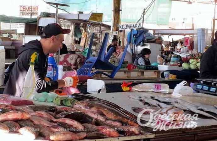 Рыба на Привозе