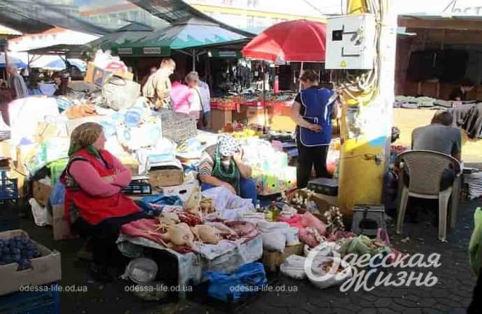 Привоз, домашняя птица