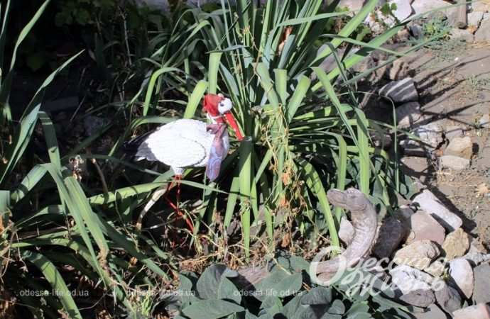 Сказочный уголок на Молдаванке-11