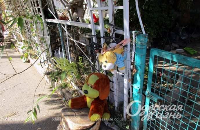 Сказочный уголок на Молдаванке-12