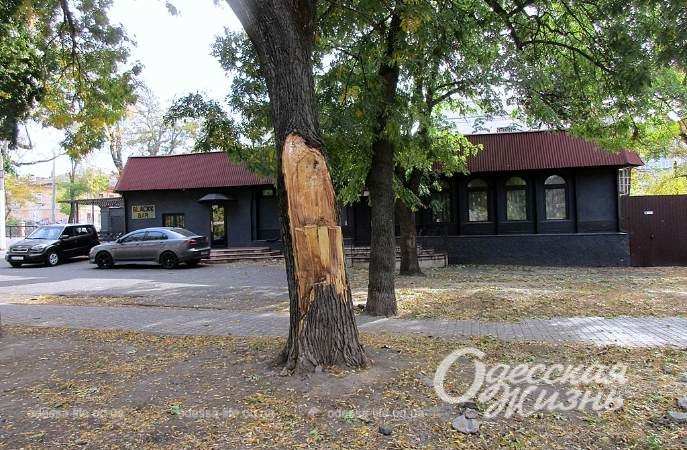 Сквер Регенесбург. Котова