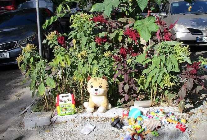 Староконка. Котова