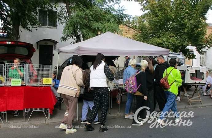 Староконка. Котова