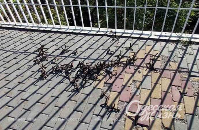 На Тещином мосту, 29 октября 2023