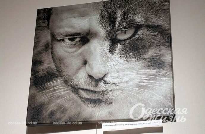 Выставка. Котова