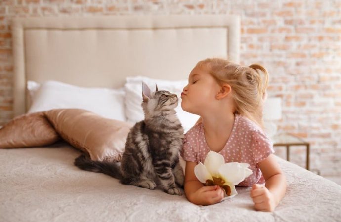 Аллергия на кошек: как распознать, вылечить и комфортно уживаться с пушистиком