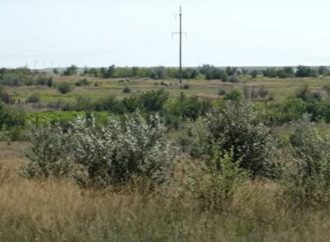 Заброшены сотни гектаров: почему задолго до войны перестали обрабатывать землю под Рени