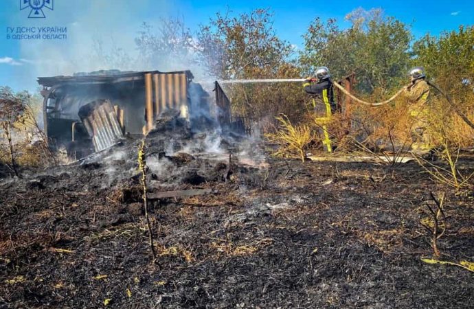 На Одещині впіймали “на гарячому” винуватців пожеж: що їм загрожує