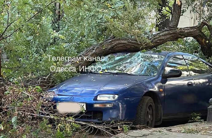 В Одессе ветер причинил вред: штормовое предупреждение будет продолжаться и 20 октября (видео)