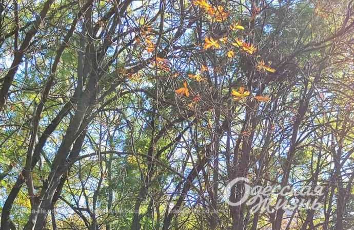 Парк Горького