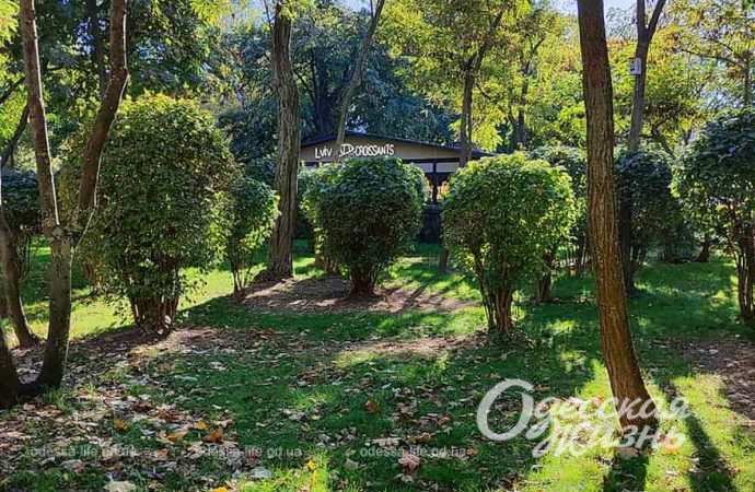 Парк Горького