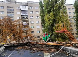 Шторм в Одесі: скільки дерев не витримало натиску стихії (фото)