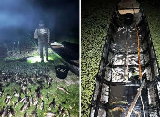На Одесщине рыбак запрещенным орудием нарыбачил на полмиллиона гривен