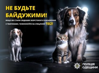 Житель Одесской области на глазах соседей до смерти забил собаку: что ему грозит