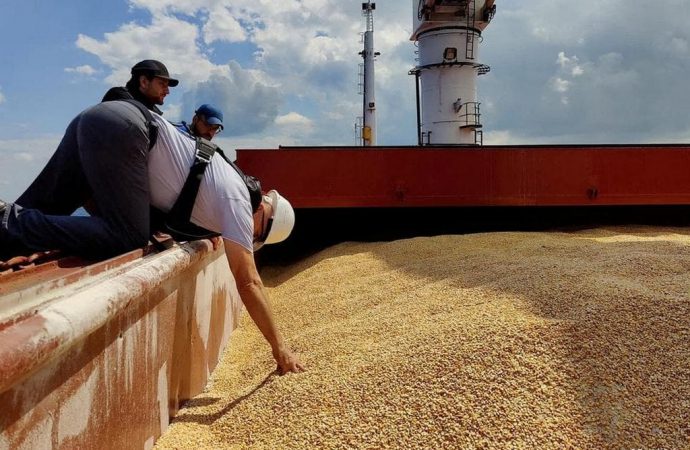 Экспорт украинского зерна: что происходит в море и на границе с Европой