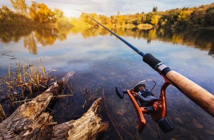 З 1 листопада на Одещині забороняється вилов риби: де саме