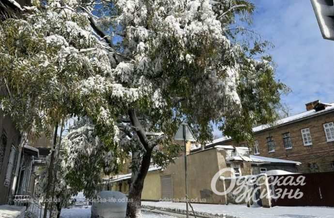 Зиомва казка. Снігопад