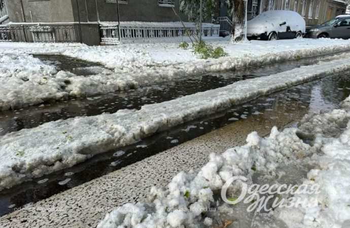 Зиомва казка. Снігопад