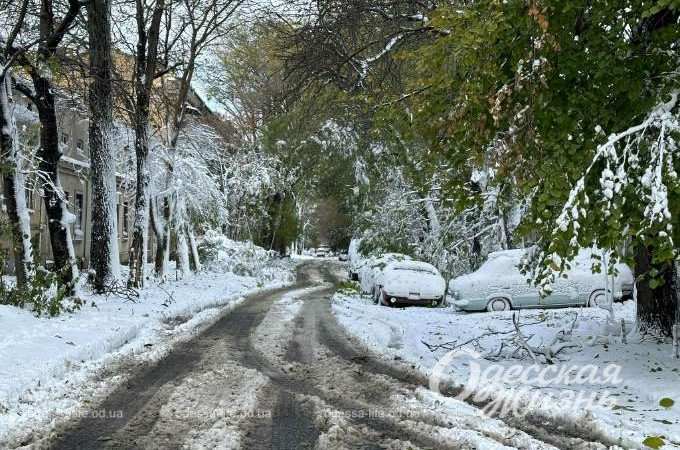 Зиомва казка. Снігопад
