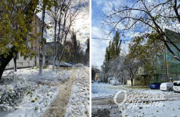 Зиомва казка. Снігопад