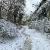 Вчера ненастье, а сегодня настоящая зимняя сказка: Одесса после снегопада (фоторепортаж)