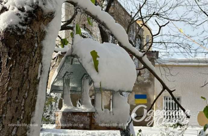 Зиомва казка. Снігопад