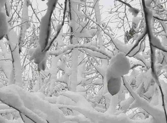Синоптики не ошиблись: Одесчину засыпало снегом (видео)(ОБНОВЛЕНО)