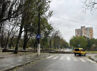 Воскресное ноябрьское утро в Одессе: деревопад и первый снег (фоторепортаж)