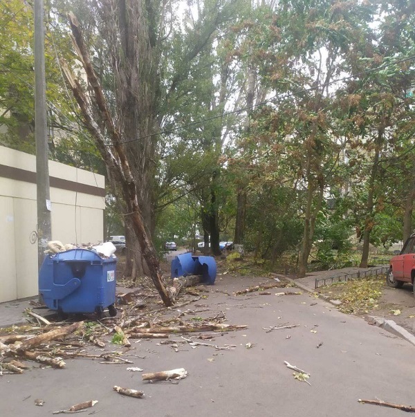 В Одессе падают деревья